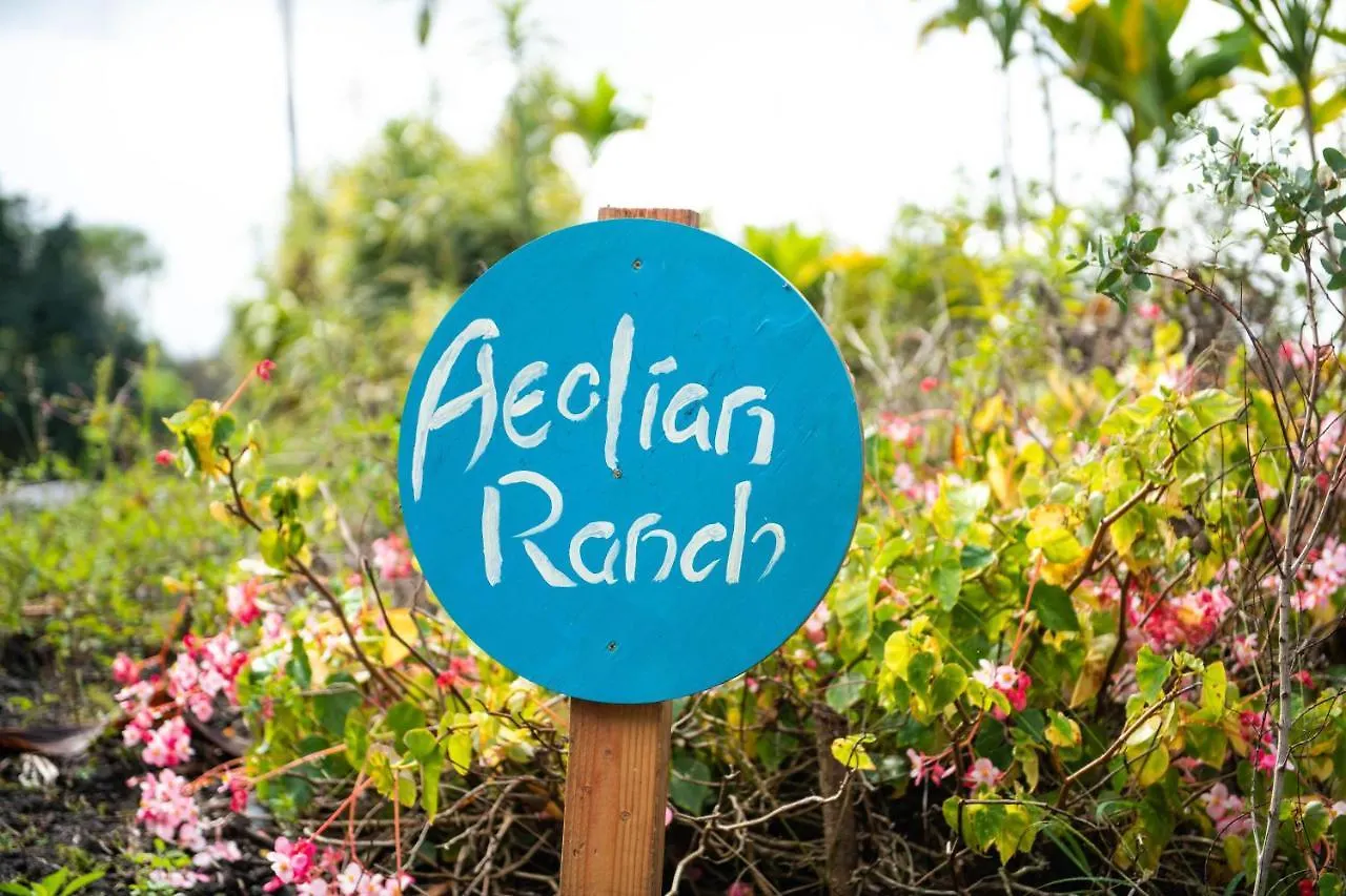 Aeolian Ranch Guest House Palani Junction 米国